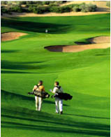 Golf Phoenix